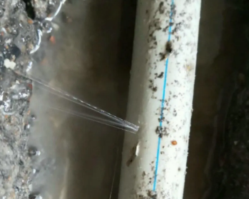 路北卫生间测漏水多少钱