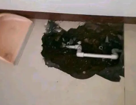 路北卫生间测漏水多少钱